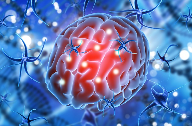 Gut-Brain Core